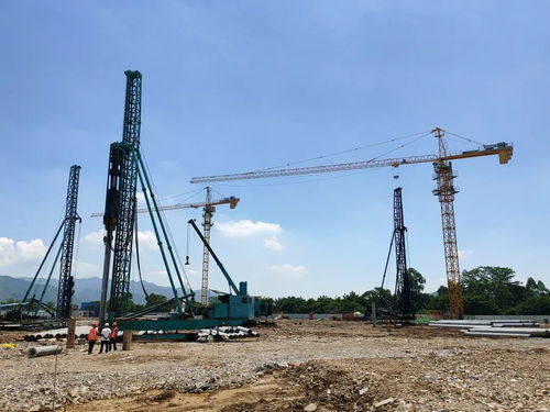 肇慶水產(chǎn)交易中心試運(yùn)營(yíng)，開啟新鮮水產(chǎn)采購(gòu)新篇章