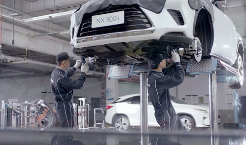 不想賺我們的錢？這個(gè)品牌火到加價(jià)，但為何不國(guó)產(chǎn)